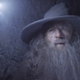 Illustration for article titled Gandalf and Radagast inspect an ancient tomb in the first clip from emThe Desolation of Smaug/em
